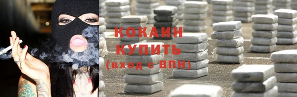 кокс Арсеньев
