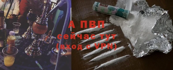 сатива Аркадак