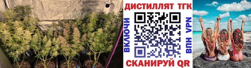 darknet состав mega маркетплейс Гвардейск Дистиллят ТГК концентрат