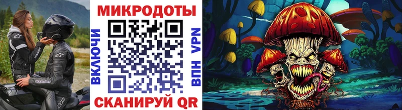 Псилоцибиновые грибы Psilocybe  Гвардейск 